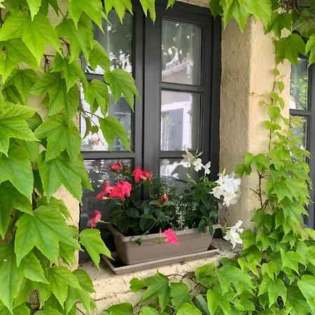 Mcm Chalais (Charente)