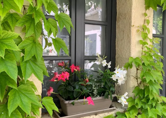 Mcm Chalais (Charente)